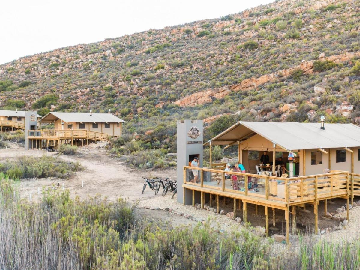 Africamps At Karoo 1 Villa De Doorns Kültér fotó